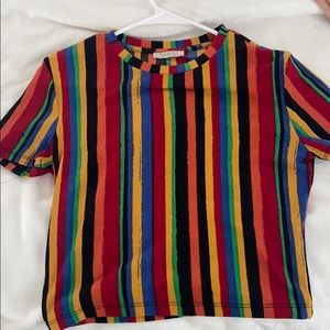 Zara multi color crop